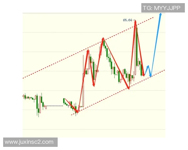 南京攀岩队的区域防守策略与技术解析深度探讨