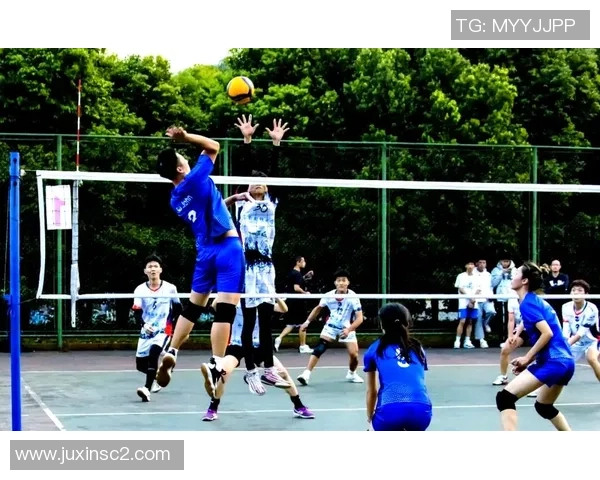 南京排球队的奋斗与荣耀：一段不平凡的排球纪实之旅