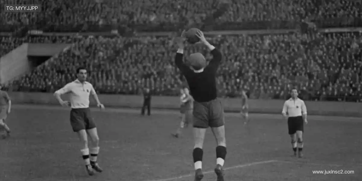 🛒周边好物，把热爱穿在身上、握在手里！🎁